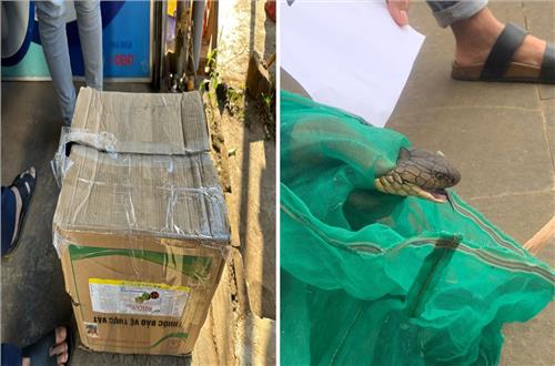 Công an huyện Đắk Mil phát hiện, bắt quả tang 01 vụ Mua bán trái phép động vật hoang dã