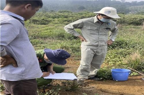 Đắk Nông: Một trang trại chăn nuôi heo ở Đắk Song bị phạt gần 500 triệu đồng