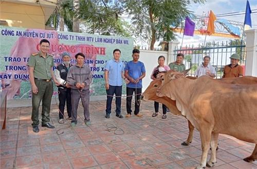 Công an huyện Cư Jút phối hợp với Công ty TNHH MTV Lâm nghiệp Đắk Wil tổ chức chương trình trao tặng bò giống sinh sản cho hộ nghèo tại xã Đắk Wil