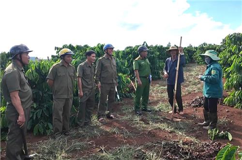 Phát huy vai trò của các Tổ Bảo vệ ANTT ở cơ sở  trong công tác bảo vệ ANTT mùa thu hoạch nông sản